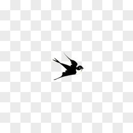 小燕子飞的图片,燕子飞图片大全,小燕子往南飞的图片_大山谷图库