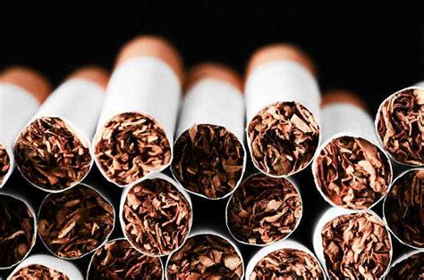 烟草的危害（烟草对人体的危害知识）_石柱百科网