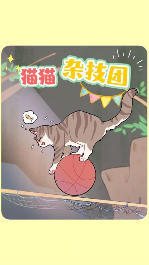 上海宠物寄养 上海同城上门喂猫 铲屎官 猫咪寄养