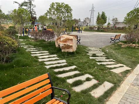 市区公园路与环城东路交叉口绿化提升工程完工-新闻中心-温州网