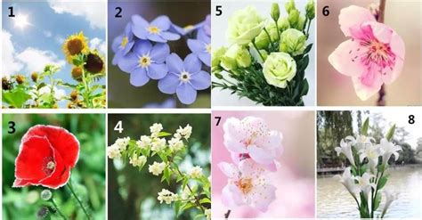 测试自己的花语,花卉人格测试,测测你是什么花的气质_大山谷图库