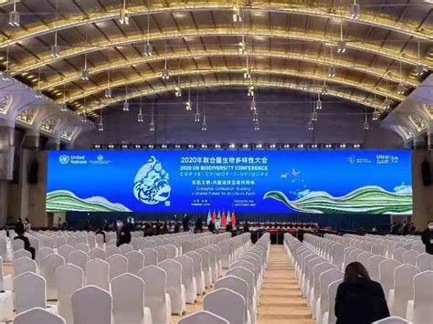 万众瞩目的COP15开幕 山东为大会贡献了哪些经验？ - 山东 - 关注 - 济宁新闻网