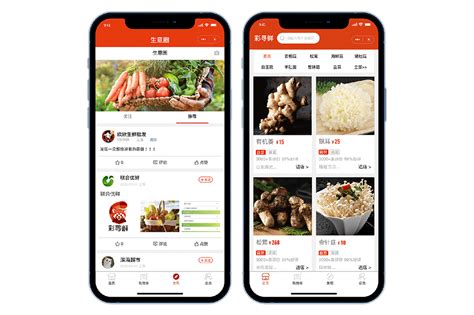软件下载 - 彩寻鲜-中国农副产品批发行业的智能化方案供应商