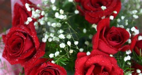 火红的玫瑰花数字艺术插画图片下载-正版图片402465965-摄图网