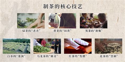 纯茶国饮新风尚——看tea’stone怎样将中国茶玩出新腔调_广东频道_凤凰网