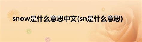 snow是什么意思中文(sn是什么意思)_科学教育网