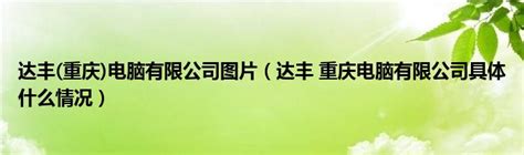 【达丰（上海）电脑有限公司 Tech-Front (Shanghai) Computer Co., Ltd招聘_招聘信息】-前程无忧官方招聘网站