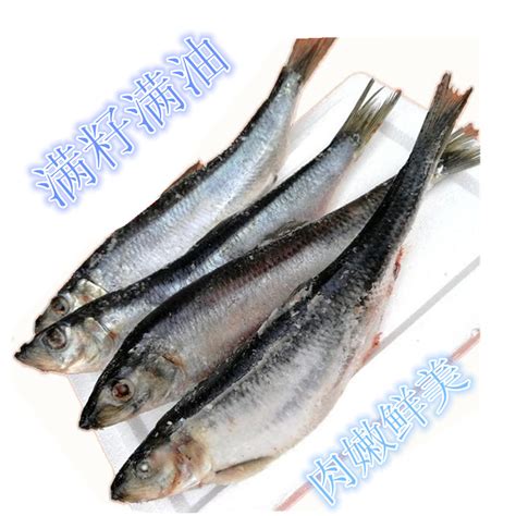 海青鱼和沙丁鱼,海青鱼,青鱼和草鱼的区别(第5页)_大山谷图库