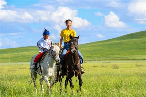 草原小骑手是怎样炼成的？内蒙古3岁娃5分钟学会骑马