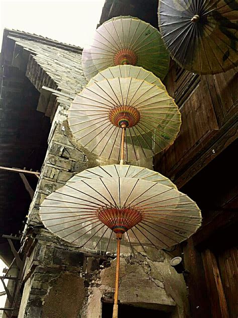 油纸伞图片