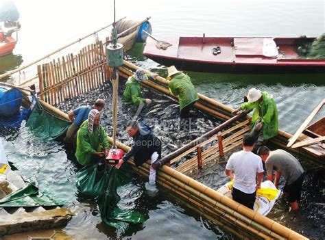 湖南嘉禾：生态养殖 渔民增收-人民图片网