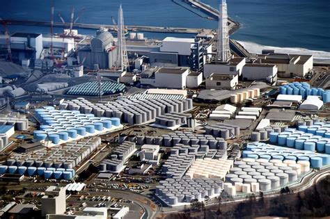 热点！“首尝恶果”日本核污水排放将最先对其渔业带来冲击_行业研究报告 - 前瞻网