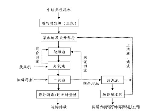 黄金角蛙活体宠物绿角蛙南瓜非洲牛蛙爬宠蛙钟角姥爷树蛙青蛙活物_虎窝淘