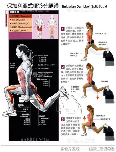 蜜桃臀养成（下）--健身房&居家练臀常用动作之蹲类+踢类以及臀中肌的刺激 - 知乎