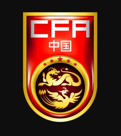 中国国家男子足球队 - 快懂百科