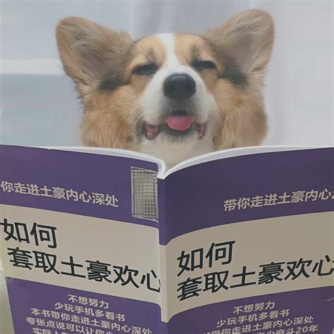 搞笑头像情侣非主流