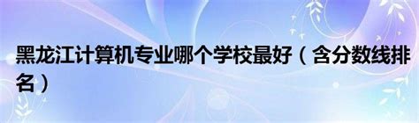 黑龙江省计算机学会2013年年会在我校成功举办-齐齐哈尔大学
