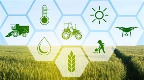 农业农村部：发布2021全国县域数字农业农村电子商务发展报告 – 69农业规划设计.兆联顾问公司