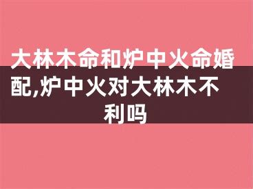 大林木命和炉中火命婚配,炉中火对大林木不利吗_八字百科网