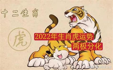 属虎狮子座2022年运势及运程