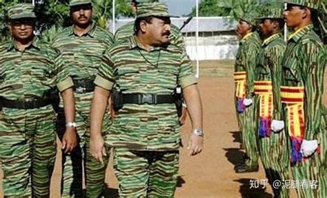 猛虎组织发言人向斯里兰卡政府军投降(图)