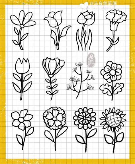 50种植物的简笔画 50种植物的简笔画和简介 | 抖兔教育