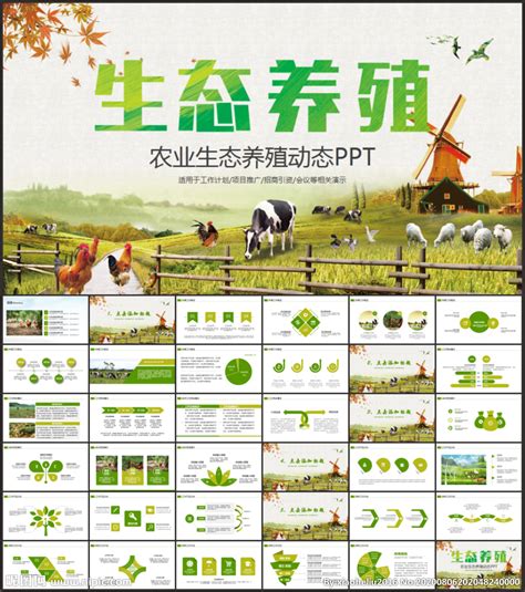 家禽养殖设计图__海报设计_广告设计_设计图库_昵图网nipic.com