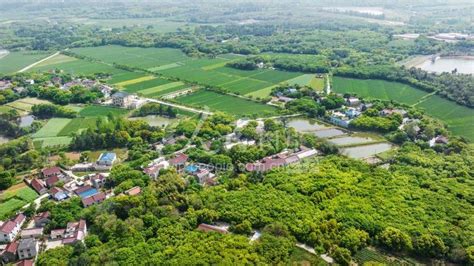 深圳观澜山水田园有什么好玩的 观澜山水田园适合春游吗2021_旅泊网