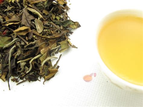 白牡丹茶的功效与作用以及药用价值及饮用禁忌