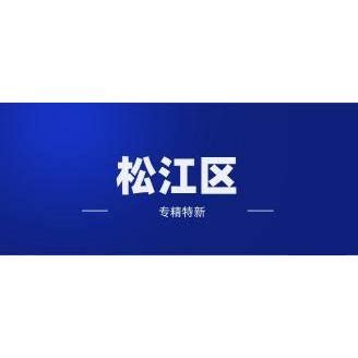 2023年度松江区“专精特新”企业_上海市企业服务云