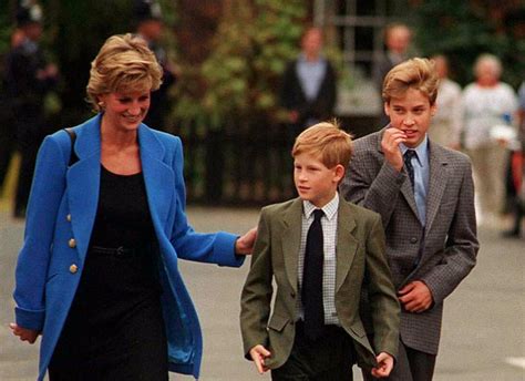 威廉王子批BBC记者骗访戴安娜王妃：破坏父母关系 - 博览 - 东南网