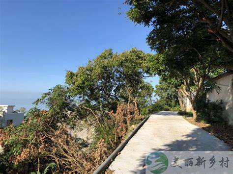 广东省 汕头市 南澳县 走马埔村 景区内 背山面海小院 出租 南澳县农村房屋出租-南澳县美丽新乡村