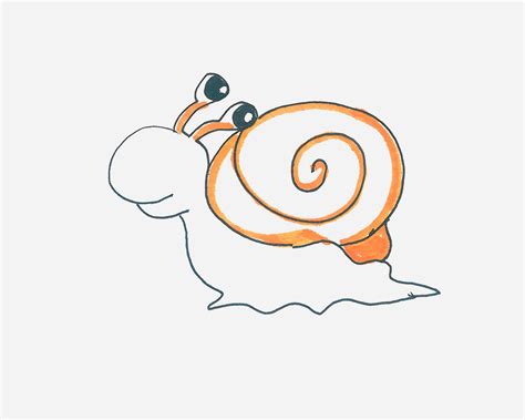 有趣俏皮的宠物蜗牛名字彰显个性-可爱点 - 【可爱点】
