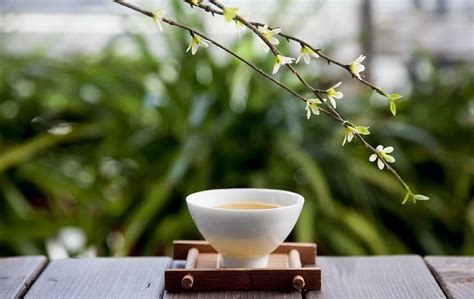 茶与悟,茶禅静心的图片,典茶语(第2页)_大山谷图库