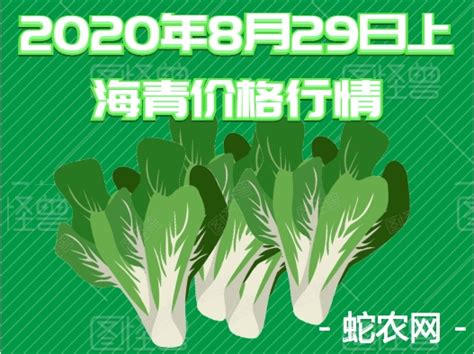 2020年8月29日上海青价格行情、今日上海青多少钱一斤？ - 农产品价格 - 蛇农网