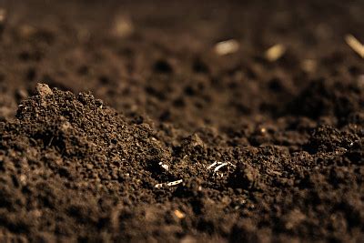 泥土,背景,泥,堆肥,肮脏的,自然,褐色,式样,水平画幅,无人摄影素材,汇图网www.huitu.com