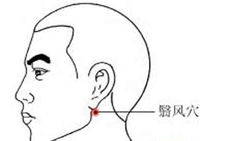 翳风穴位图图片