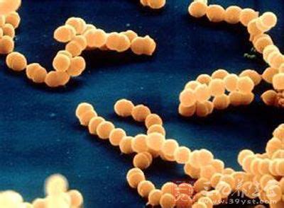 送你一本炒“菜”秘籍 ：“烹”出超级细菌的克星——人工噬菌体