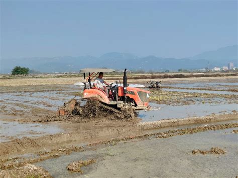 华阳河农场公司开展2020年农机深松整地安徽省华阳河农场