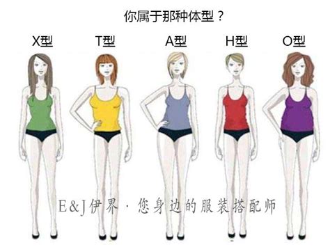 女性12种体型分析，自测你是哪一种？看看吧|沙漏|体型|身材_新浪新闻