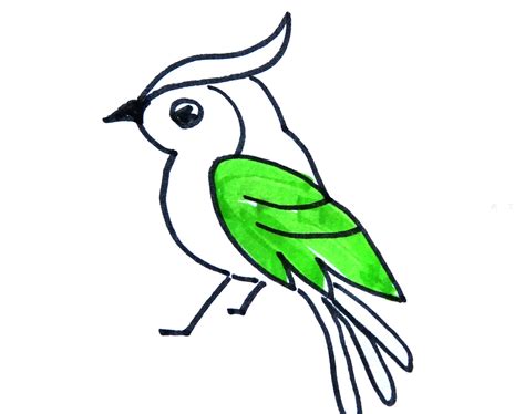 鸟的简笔画 鸟的简笔画简单又好看 - 水彩迷