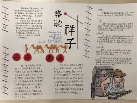 中国风骆驼祥子小报手抄报设计图片下载_psd格式素材_熊猫办公