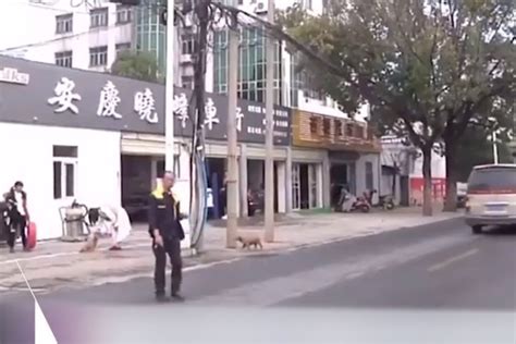 安徽安庆：偷车贼胆真大！偷完车还敢返回现场偷充电器_凤凰网视频_凤凰网