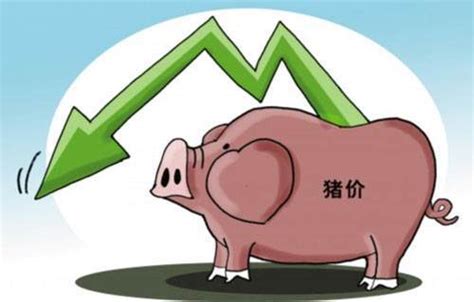 恶化！猪价“断崖下跌”，市场突迎变化，猪价要涨？10月18日猪价 - 知乎