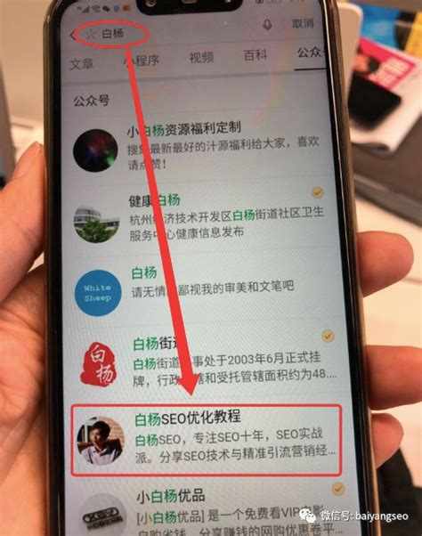 微信搜一搜seo排名优化怎么做_腾讯视频