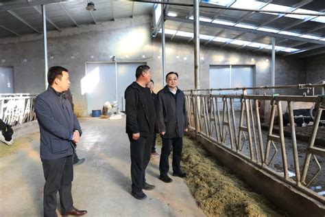 中国农业大学教授李胜利到我县调研奶业发展情况