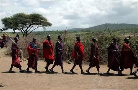 坦桑尼亚旅游攻略_坦桑尼亚自助游/自由行_第六感别墅度假