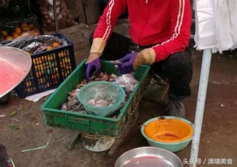 一家年收入过亿的多抓鱼「施工中」_深圳市乐投发展有限公司