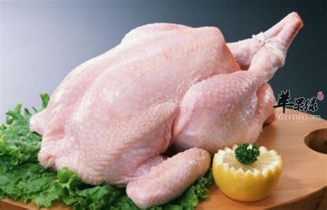 一斤鸡肉有多少钱（一斤鸡肉多少钱一斤） | 大商梦