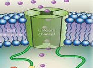 钙离子电池,钙离子电子式,钙离子电子示意图_大山谷图库